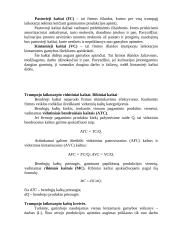 Pelno maksimizavimas 3 puslapis