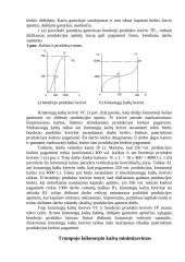 Pelno maksimizavimas 4 puslapis