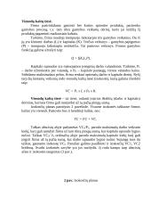 Pelno maksimizavimas 5 puslapis