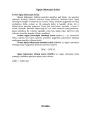 Pelno maksimizavimas 7 puslapis