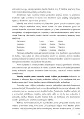 Perdraudimo veikla 19 puslapis