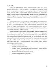 Perdraudimo veikla 3 puslapis