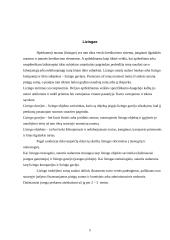 Pirkimas išsimokėtinai 5 puslapis