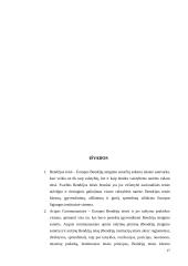 Pirminės ir antrinės Europos Sąjungos (ES) teisės šaltiniai 17 puslapis