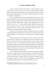 Pirminės ir antrinės Europos Sąjungos (ES) teisės šaltiniai 4 puslapis