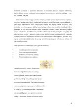 Poliesteriniai audiniai 4 puslapis