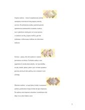 Poliesteriniai audiniai 5 puslapis