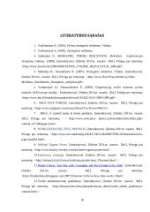 Porterio 5 jėgų modelis 18 puslapis