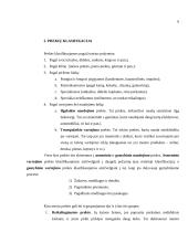 Prekės savybės ir išdėstymas 5 puslapis
