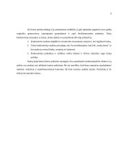 Prekės savybės ir išdėstymas 8 puslapis