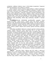 Prieskoniai 2 puslapis