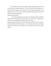 V.V. Landsbergis "Čia rimtai vaikai" 2 puslapis