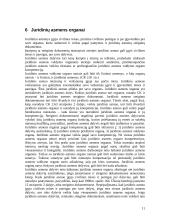 Juridiniai asmenys bei jų tipai 12 puslapis