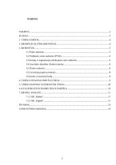 Problemų, pradedant verslą, analizė 2 puslapis