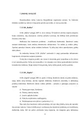 Problemų, pradedant verslą, analizė 11 puslapis