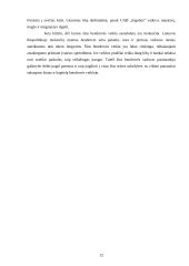 Problemų, pradedant verslą, analizė 12 puslapis