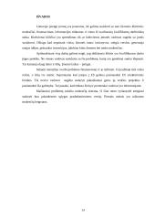 Problemų, pradedant verslą, analizė 13 puslapis