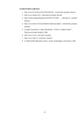 Problemų, pradedant verslą, analizė 14 puslapis