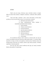 Problemų, pradedant verslą, analizė 3 puslapis