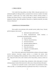 Problemų, pradedant verslą, analizė 4 puslapis