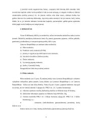 Problemų, pradedant verslą, analizė 5 puslapis