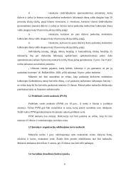 Problemų, pradedant verslą, analizė 6 puslapis