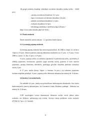 Problemų, pradedant verslą, analizė 8 puslapis