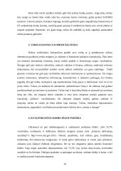 Problemų, pradedant verslą, analizė 10 puslapis