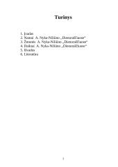 A. Nyka–Niliūnas "Dienoraščiai" 2 puslapis