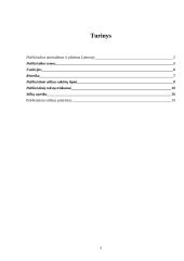 Publicistinis stilius 2 puslapis