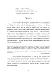 Publicistinis stilius 6 puslapis