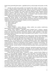 A. Vaičiulaičio gyvenimas ir kūryba 11 puslapis