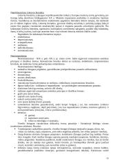 A. Vaičiulaičio gyvenimas ir kūryba 15 puslapis