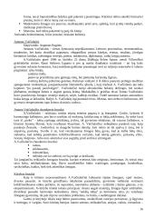 A. Vaičiulaičio gyvenimas ir kūryba 16 puslapis