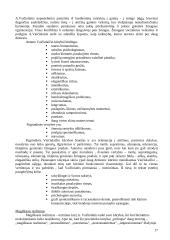 A. Vaičiulaičio gyvenimas ir kūryba 17 puslapis