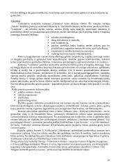 A. Vaičiulaičio gyvenimas ir kūryba 18 puslapis