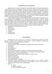 A. Vaičiulaičio gyvenimas ir kūryba 3 puslapis