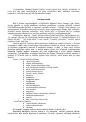 A. Vaičiulaičio gyvenimas ir kūryba 6 puslapis