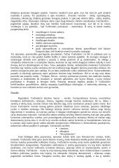 A. Vaičiulaičio gyvenimas ir kūryba 7 puslapis