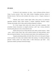 Rašto kilmė, istorija ir raida 13 puslapis