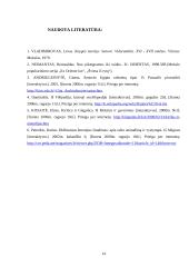 Rašto kilmė, istorija ir raida 14 puslapis