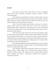 Rašto kilmė, istorija ir raida 3 puslapis