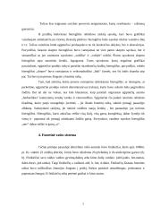 Rašto kilmė, istorija ir raida 7 puslapis