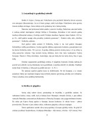 Rašto kilmė, istorija ir raida 8 puslapis