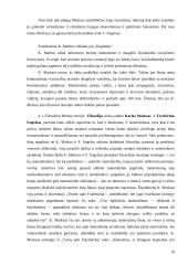 Absoliutaus ir santykinio nuskurdimo problema Karlo Markso teorijoje 9 puslapis