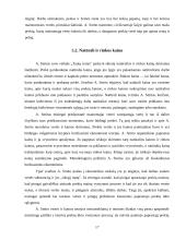Adamo Smito biografija ir teorijos 17 puslapis