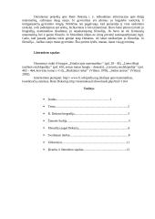 Renė Dekarto teorijos 11 puslapis