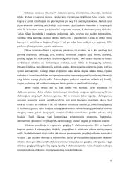 Rūkymo žala chemiko akimis 8 puslapis
