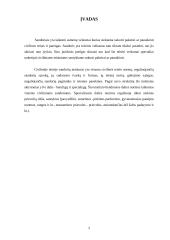 Sandorių rūšys 2 puslapis