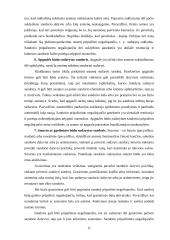 Sandorių rūšys 11 puslapis